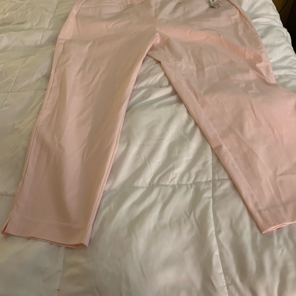 Talbots crop pants sizes 18w